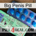 Big Penis Pill new02